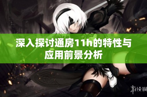 深入探讨通房11h的特性与应用前景分析