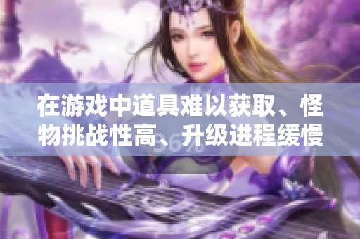 在游戏中道具难以获取、怪物挑战性高、升级进程缓慢的情况下如何才能更好地提升角色实力