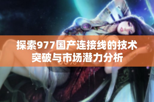 探索977国产连接线的技术突破与市场潜力分析