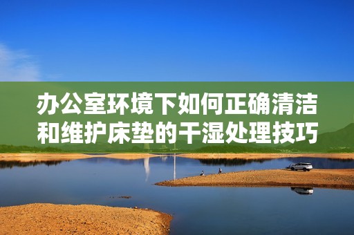 办公室环境下如何正确清洁和维护床垫的干湿处理技巧