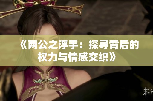 《两公之浮手：探寻背后的权力与情感交织》