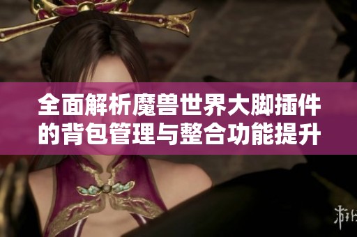 全面解析魔兽世界大脚插件的背包管理与整合功能提升游戏体验