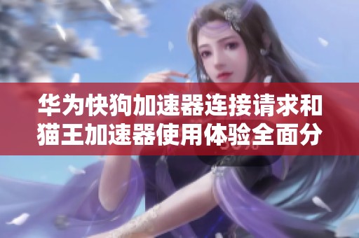 华为快狗加速器连接请求和猫王加速器使用体验全面分析与对比