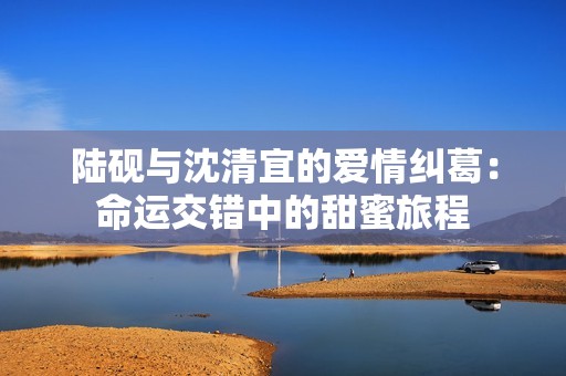 陆砚与沈清宜的爱情纠葛：命运交错中的甜蜜旅程