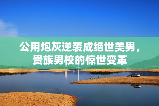 公用炮灰逆袭成绝世美男，贵族男校的惊世变革