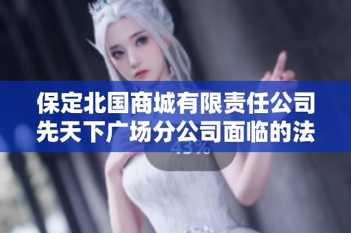 保定北国商城有限责任公司先天下广场分公司面临的法律风险及其应对策略分析