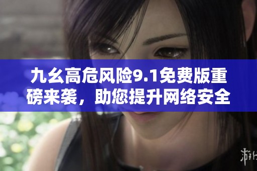 九幺高危风险9.1免费版重磅来袭,助您提升网络安全防护能力的理想选择