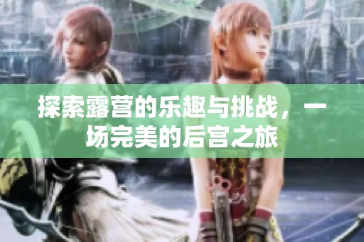 探索露营的乐趣与挑战，一场完美的后宫之旅