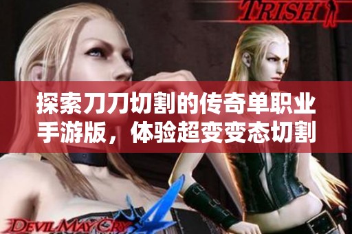 探索刀刀切割的传奇单职业手游版，体验超变变态切割传的无限乐趣与挑战