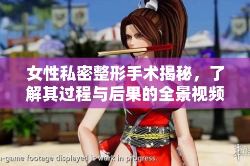 女性私密整形手术揭秘，了解其过程与后果的全景视频解析
