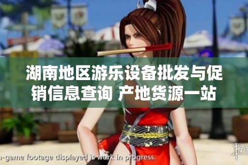 湖南地区游乐设备批发与促销信息查询 产地货源一站式服务解读
