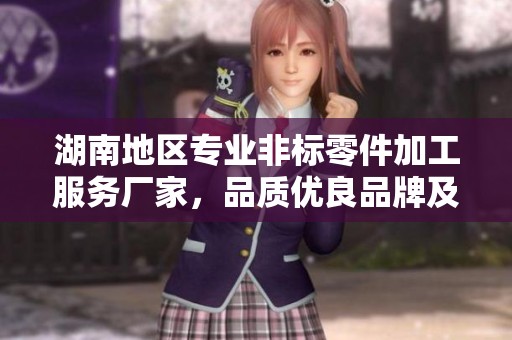 湖南地区专业非标零件加工服务厂家，品质优良品牌及制作实例展示