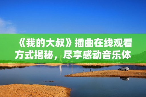 《我的大叔》插曲在线观看方式揭秘，尽享感动音乐体验