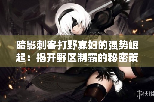 暗影刺客打野寡妇的强势崛起：揭开野区制霸的秘密策略与技巧