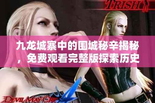 九龙城寨中的围城秘辛揭秘，免费观看完整版探索历史与传奇