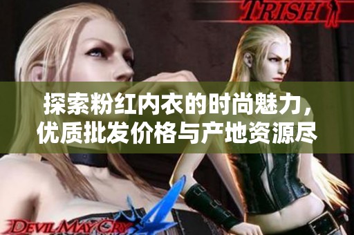 探索粉红内衣的时尚魅力，优质批发价格与产地资源尽在这里