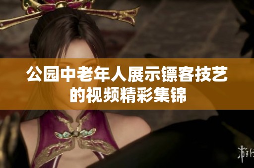 公园中老年人展示镖客技艺的视频精彩集锦