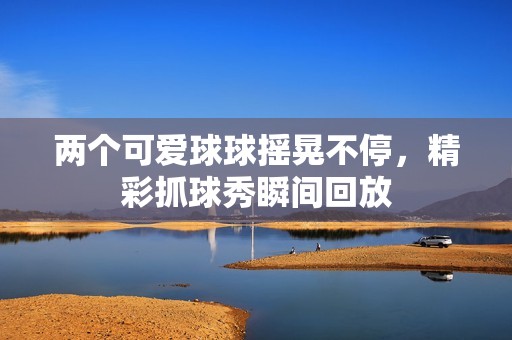 两个可爱球球摇晃不停，精彩抓球秀瞬间回放