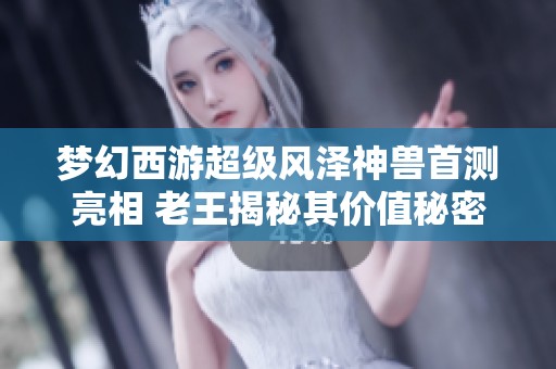 梦幻西游超级风泽神兽首测亮相 老王揭秘其价值秘密与市场前景分析
