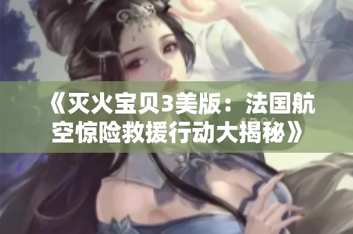 《灭火宝贝3美版：法国航空惊险救援行动大揭秘》