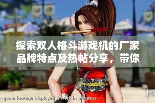 探索双人格斗游戏机的厂家品牌特点及热帖分享，带你进入精彩游戏世界