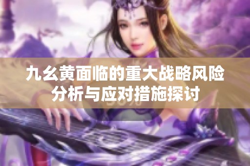 九幺黄面临的重大战略风险分析与应对措施探讨