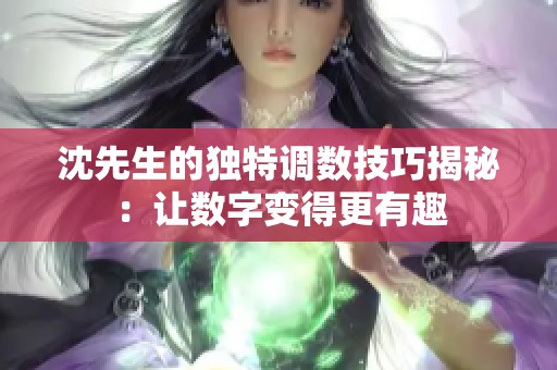 沈先生的独特调数技巧揭秘：让数字变得更有趣