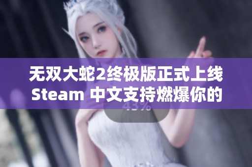 无双大蛇2终极版正式上线Steam 中文支持燃爆你的游戏体验
