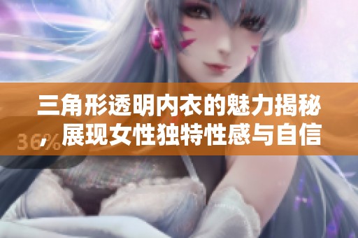 三角形透明内衣的魅力揭秘，展现女性独特性感与自信风采