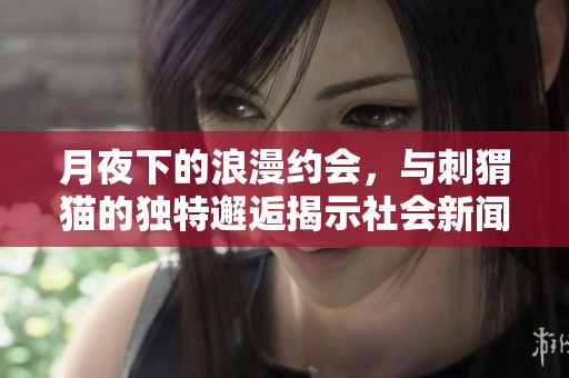 月夜下的浪漫约会，与刺猬猫的独特邂逅揭示社会新闻的新视角