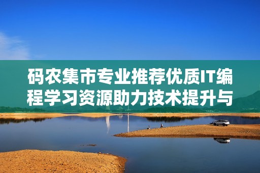 码农集市专业推荐优质IT编程学习资源助力技术提升与职业发展