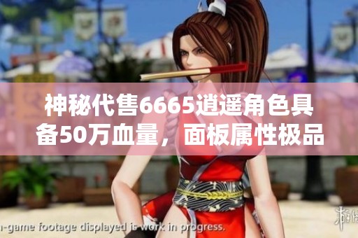 神秘代售6665逍遥角色具备50万血量，面板属性极品等你来获取