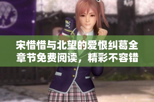 宋惜惜与北望的爱恨纠葛全章节免费阅读，精彩不容错过