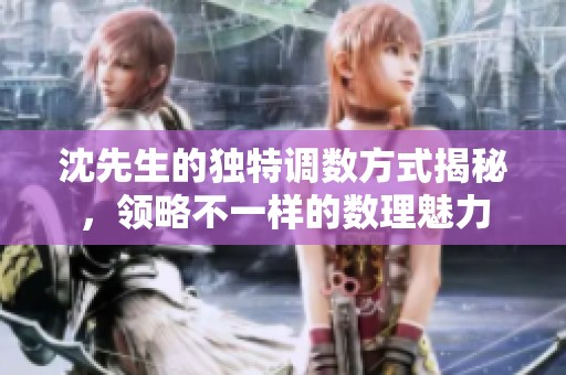 沈先生的独特调数方式揭秘，领略不一样的数理魅力