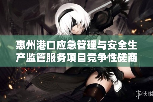惠州港口应急管理与安全生产监管服务项目竞争性磋商公告发布通知