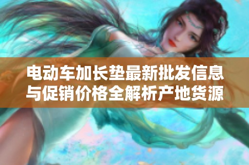 电动车加长垫最新批发信息与促销价格全解析产地货源一手掌握