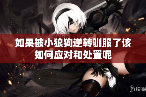 如果被小狼狗逆转驯服了该如何应对和处置呢
