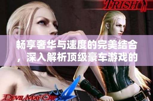 畅享奢华与速度的完美结合，深入解析顶级豪车游戏的精彩玩法与沉浸式体验