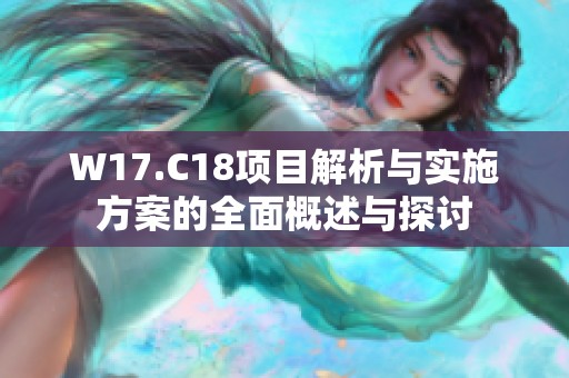 W17.C18项目解析与实施方案的全面概述与探讨