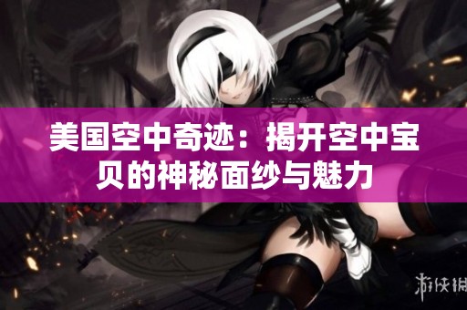 美国空中奇迹：揭开空中宝贝的神秘面纱与魅力