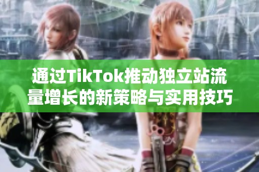 通过TikTok推动独立站流量增长的新策略与实用技巧分享