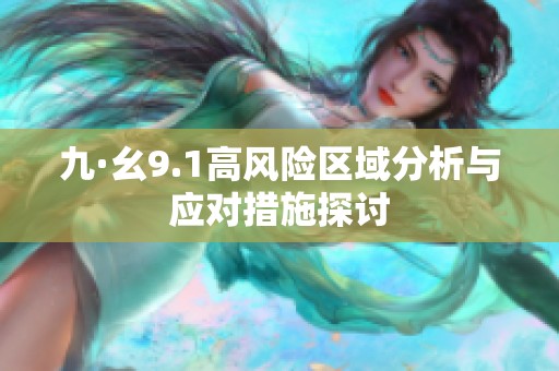 九·幺9.1高风险区域分析与应对措施探讨
