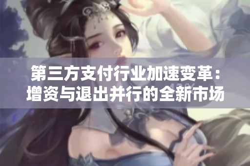 第三方支付行业加速变革：增资与退出并行的全新市场格局分析