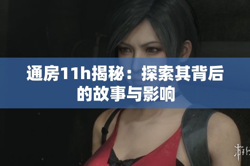 通房11h揭秘：探索其背后的故事与影响