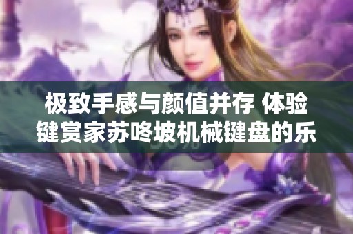 极致手感与颜值并存 体验键赏家苏咚坡机械键盘的乐趣与魅力