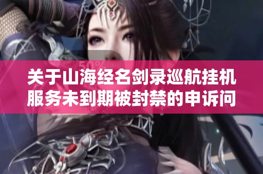 关于山海经名剑录巡航挂机服务未到期被封禁的申诉问题详解与解决方案