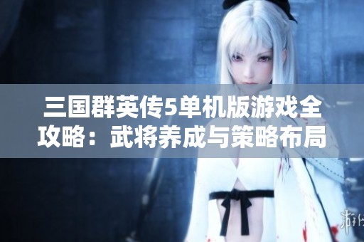 三国群英传5单机版游戏全攻略：武将养成与策略布局的技巧分享