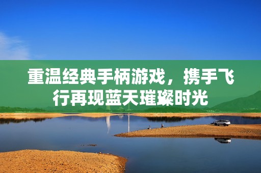 重温经典手柄游戏，携手飞行再现蓝天璀璨时光