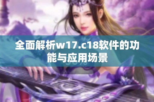 全面解析w17.c18软件的功能与应用场景