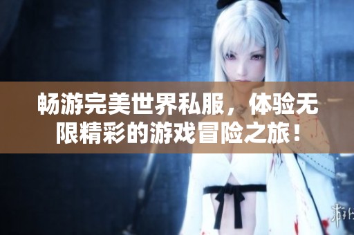 畅游完美世界私服，体验无限精彩的游戏冒险之旅！